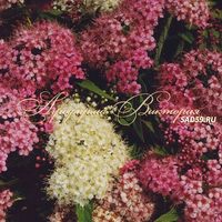 Спирея японская Широбана Спирея японская Широбана